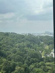 Midwood (D23), Condominium #556686851